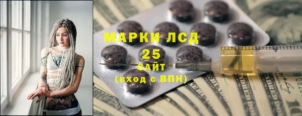 индика Коряжма
