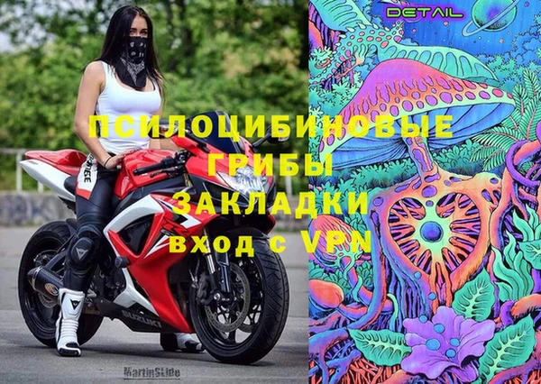 дмт Гатчина
