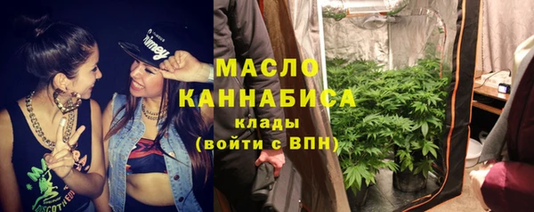 индика Коряжма