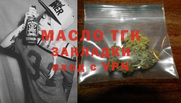 индика Коряжма