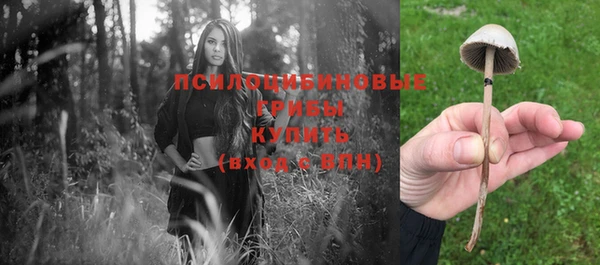 марки nbome Красноперекопск