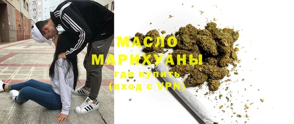 индика Коряжма